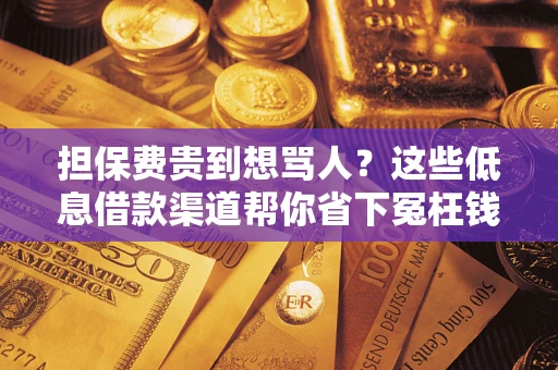 济南担保费贵到想骂人？这些低息借款渠道帮你省下冤枉钱