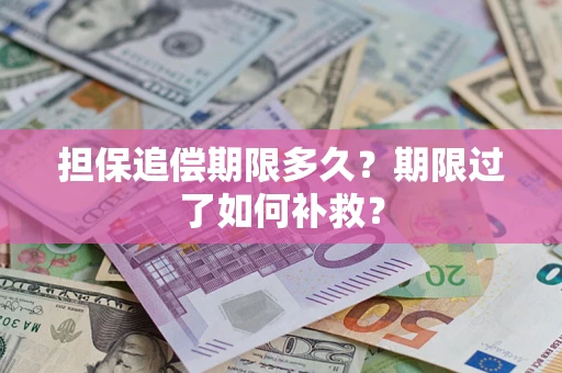 济南担保追偿期限多久？期限过了如何补救？