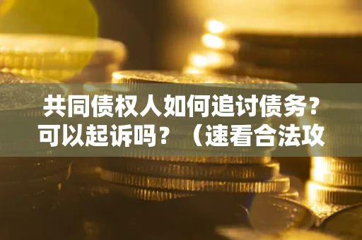 济南共同债权人如何追讨债务？可以起诉吗？（速看合法攻略）